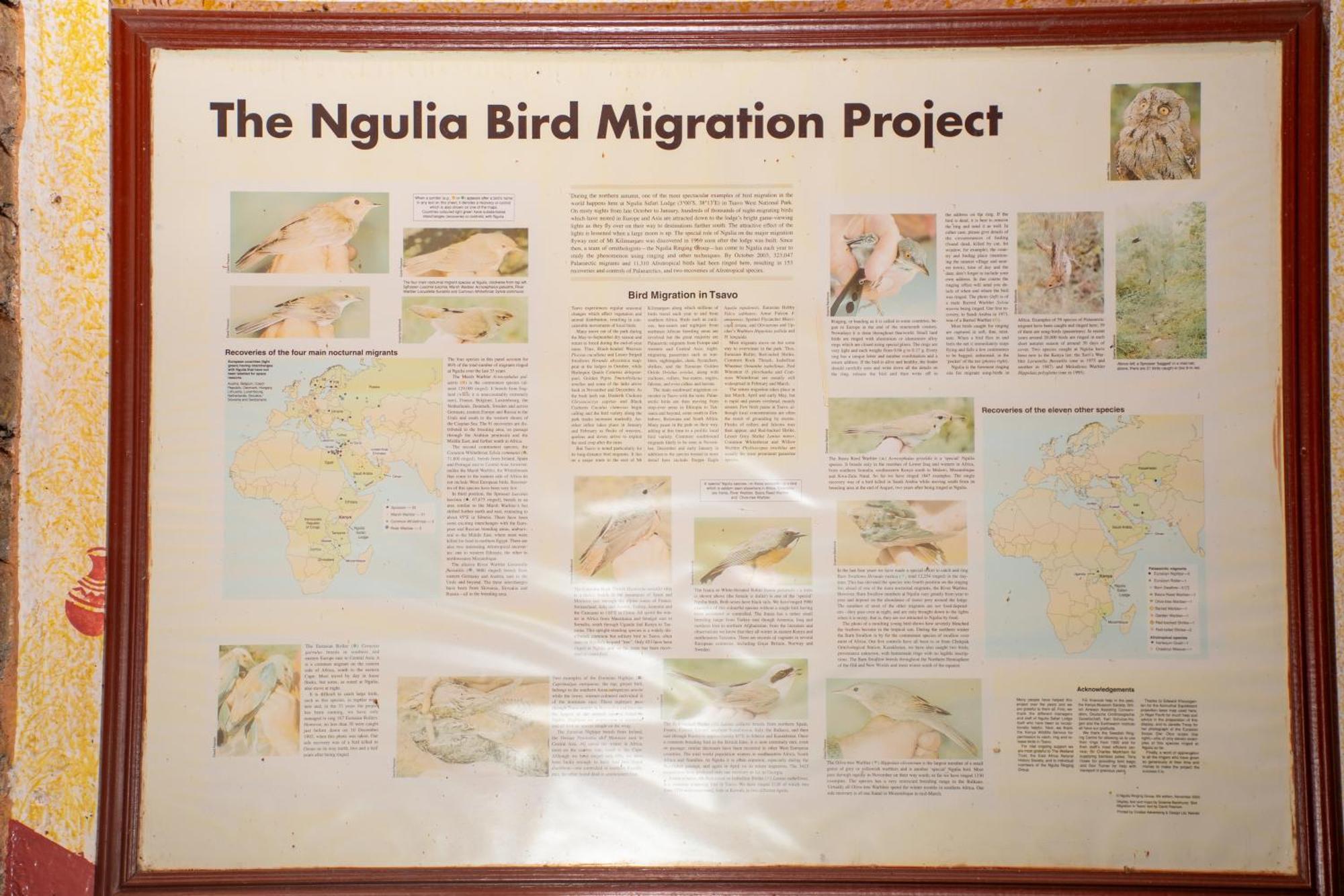 Ngulia Safari Lodge Ithumba Dış mekan fotoğraf
