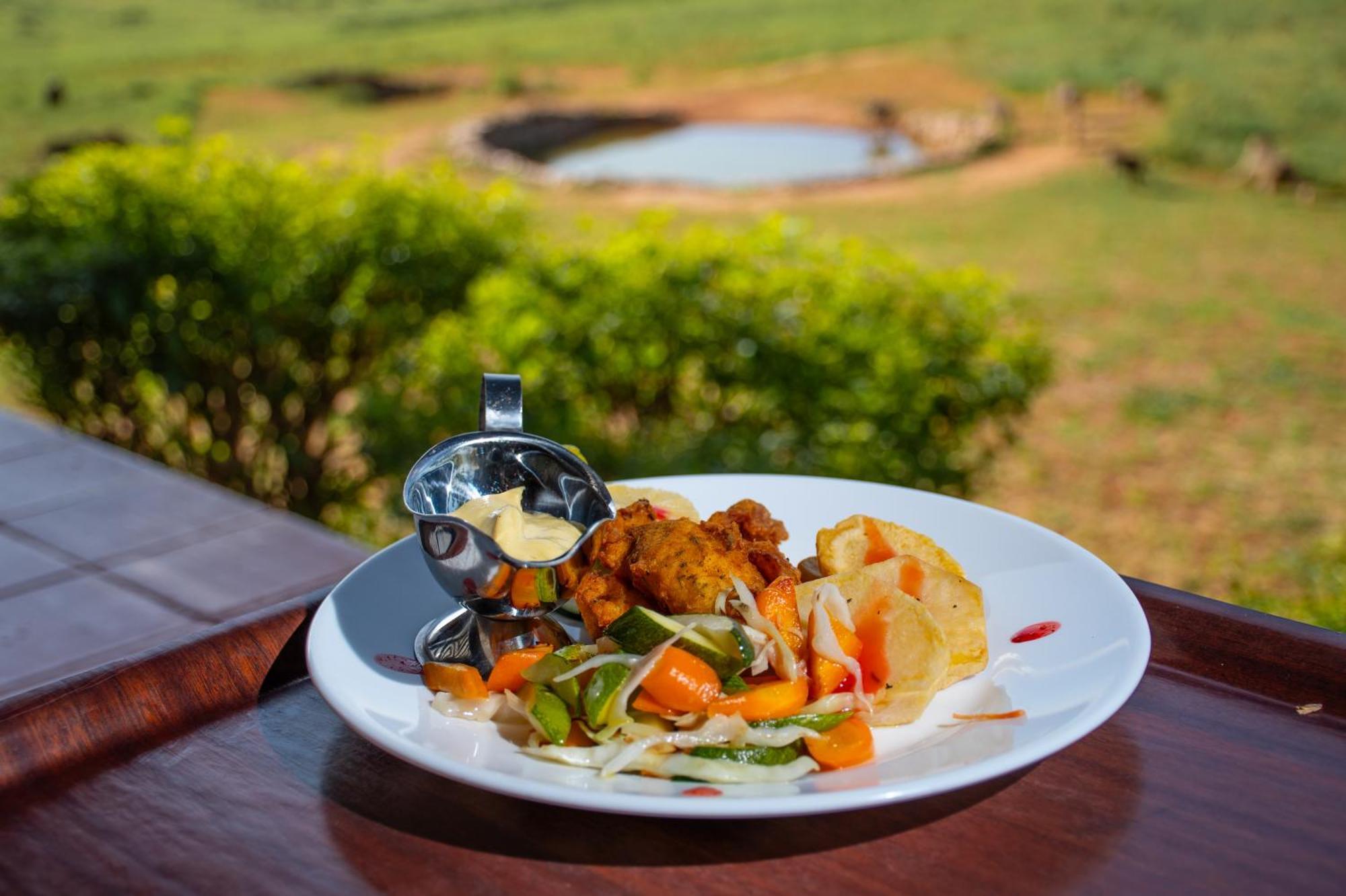 Ngulia Safari Lodge Ithumba Dış mekan fotoğraf