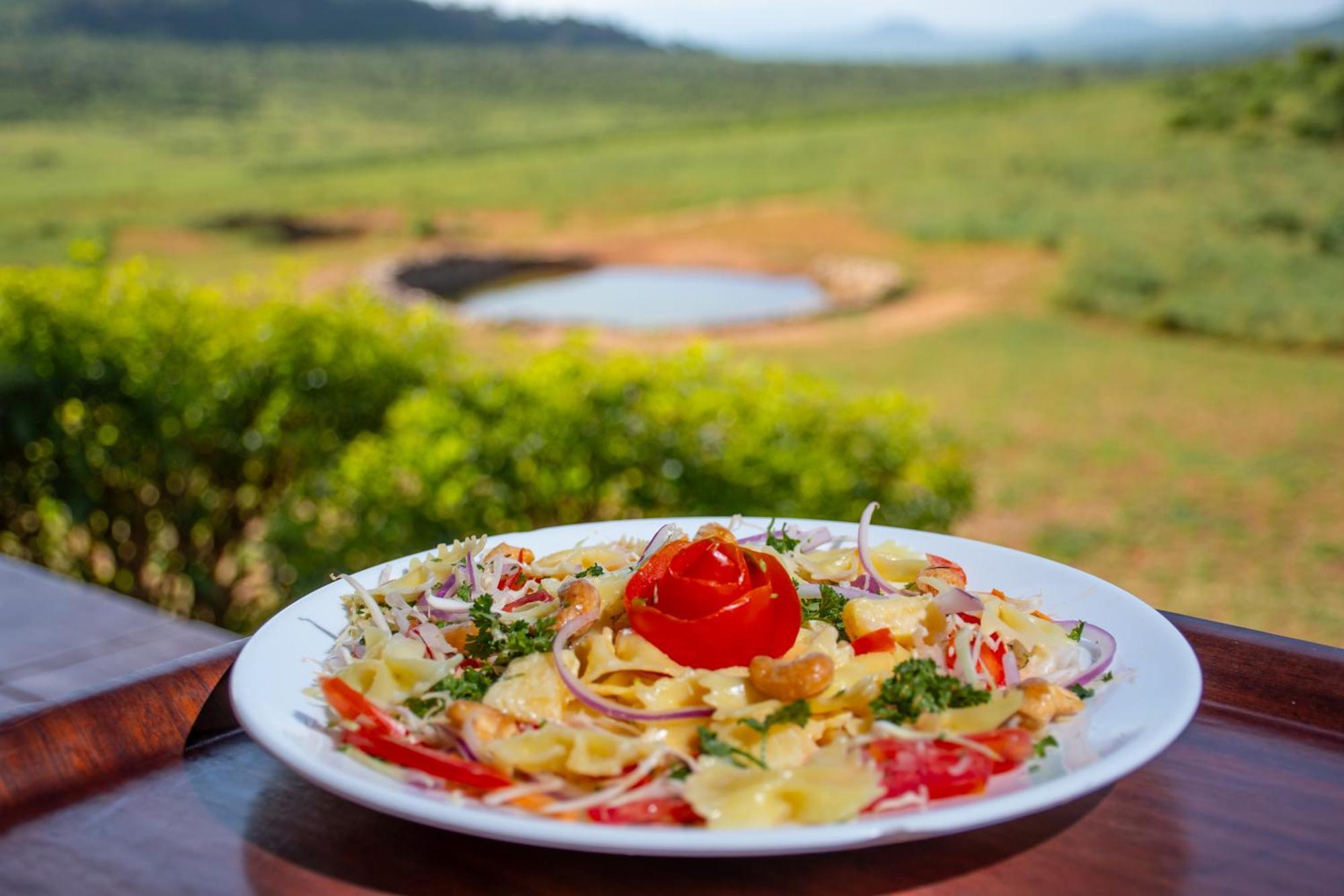 Ngulia Safari Lodge Ithumba Dış mekan fotoğraf